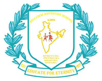 Delhi Public School