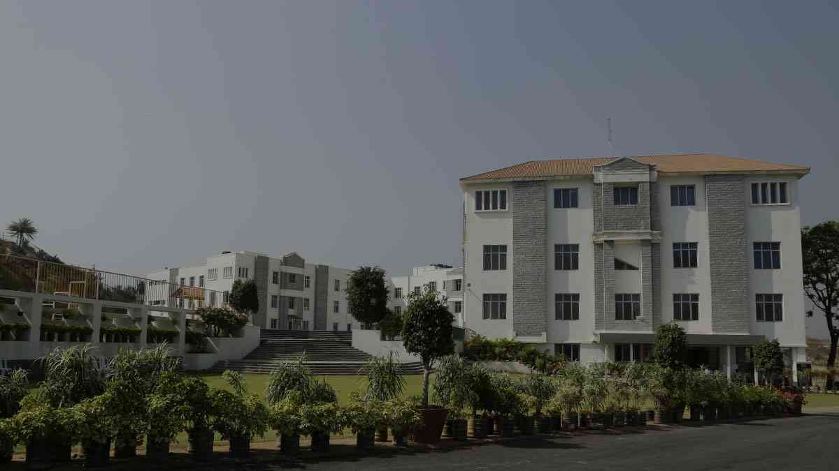 National Hill View Public School-BSK