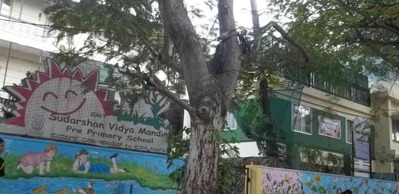 SUDARSHAN VIDYA MANDIR INSTITUTIONS