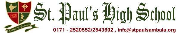 Delhi Public School